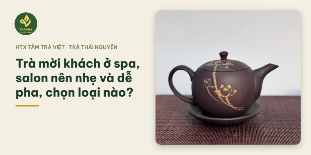 Trà mời khách ở spa, salon nên nhẹ và dễ pha, chọn loại nào? Bìa bài: Trà mời khách ở spa, salon nên nhẹ và dễ pha, chọn loại nào?