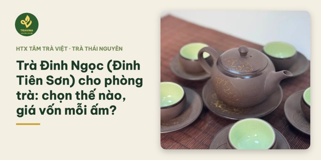 Trà Đinh Ngọc (Đinh Tiên Sơn) cho phòng trà: chọn thế nào, giá vốn mỗi ấm?