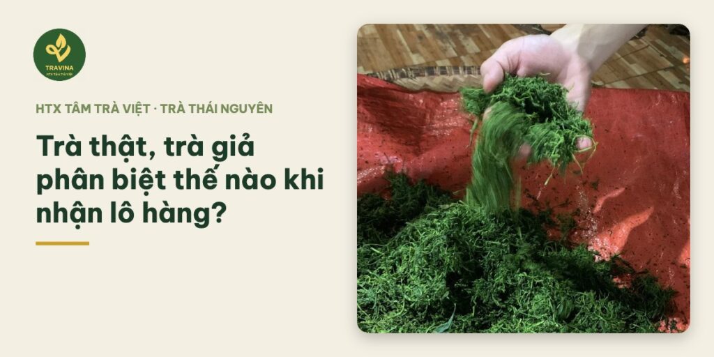 Trà thật, trà giả phân biệt thế nào khi nhận lô hàng?