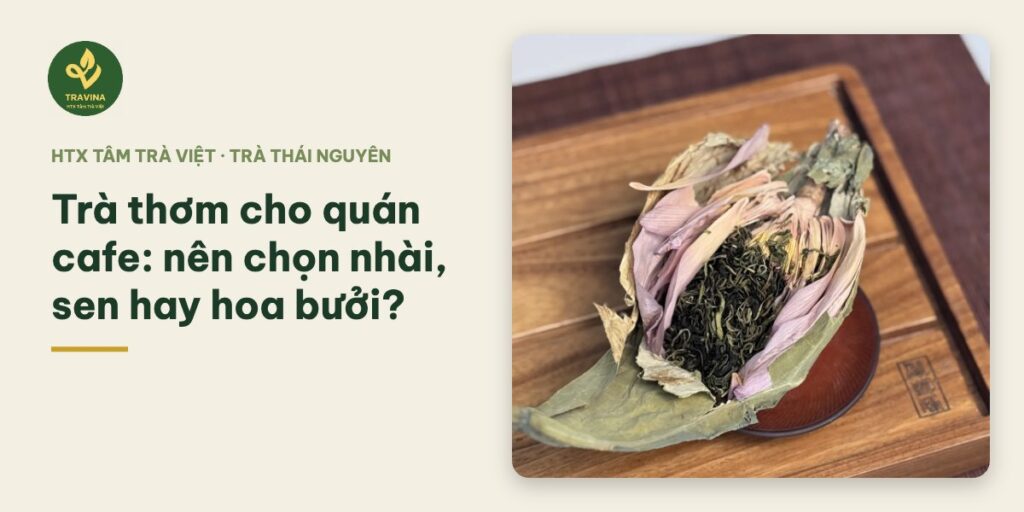 Trà thơm cho quán cafe: nên chọn nhài, sen hay hoa bưởi?