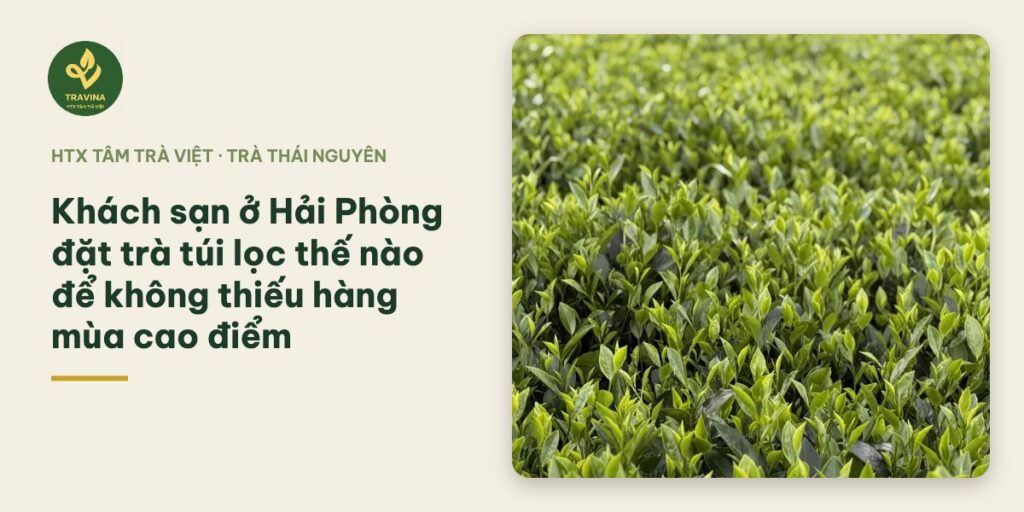 Bìa bài: Khách sạn ở Hải Phòng đặt trà túi lọc thế nào để không thiếu hàng mùa cao điểm