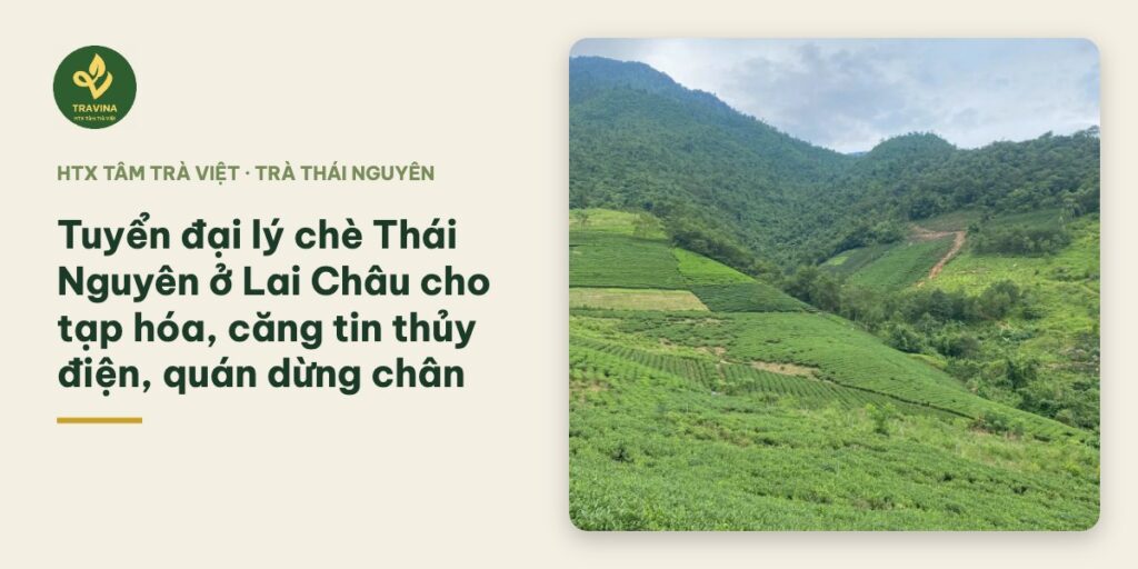 Tuyển đại lý chè Thái Nguyên ở Lai Châu cho tạp hóa, căng tin thủy điện, quán dừng chân