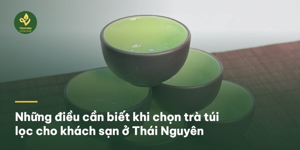 Bìa bài: Những điều cần biết khi chọn trà túi lọc cho khách sạn ở Thái Nguyên