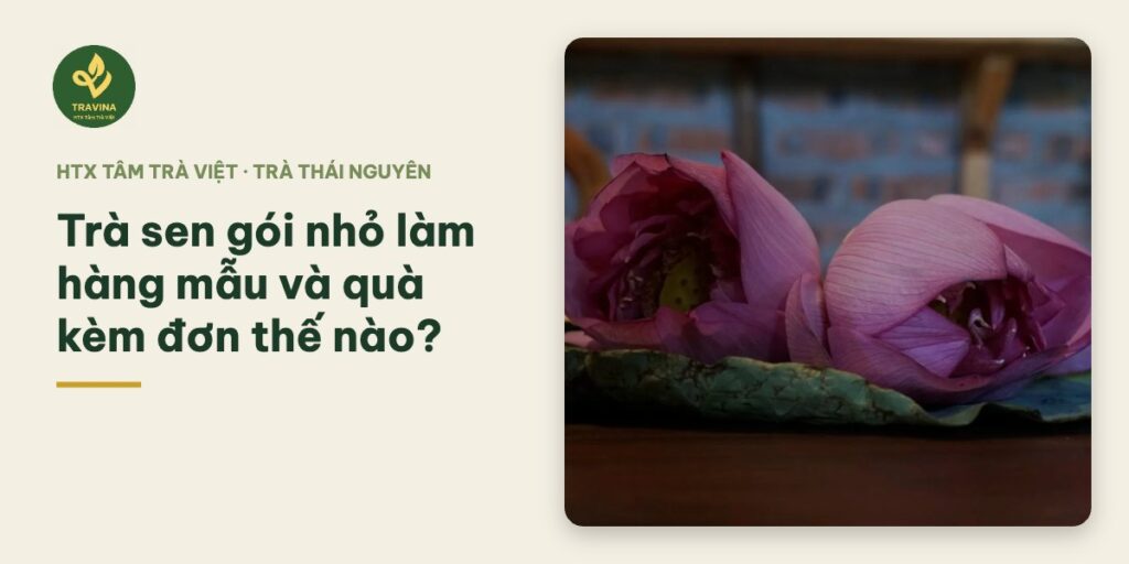 Trà sen gói nhỏ làm hàng mẫu và quà kèm đơn thế nào?