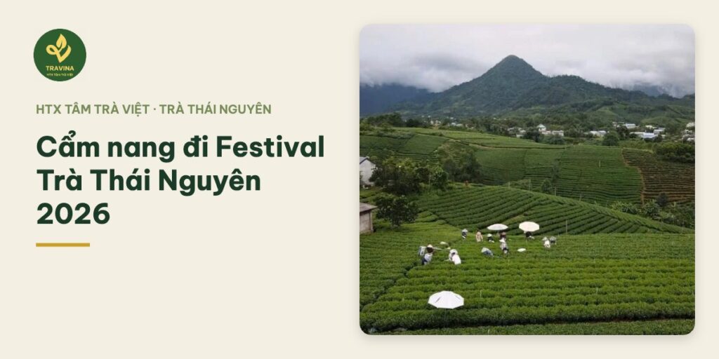Cẩm nang đi Festival Trà Thái Nguyên 2026