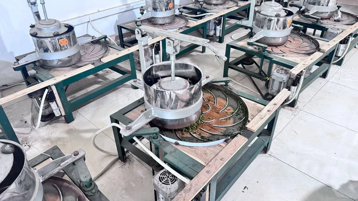 Dãy máy vò chè inox đặt thẳng hàng trong xưởng chế biến – TRAVINA HTX Tâm Trà Việt