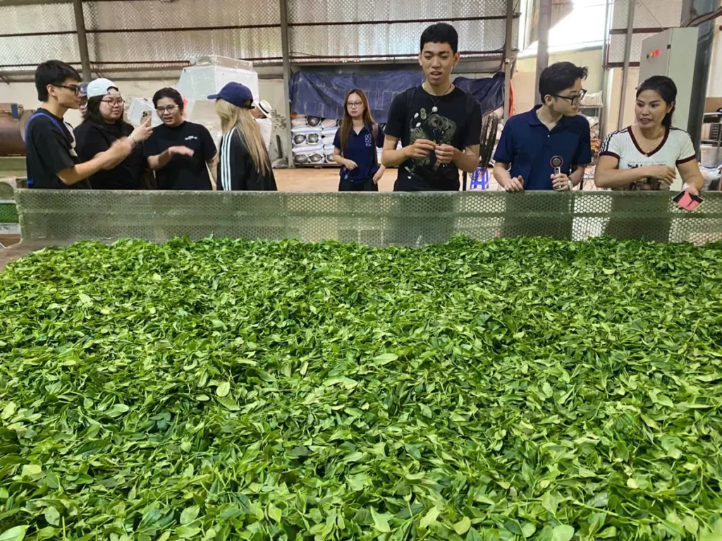 Luật Hợp tác xã 2023 khác luật 2012 ở 9 điểm nào? Đoàn khách tham quan xưởng chế biến chè của HTX Tâm Trà Việt