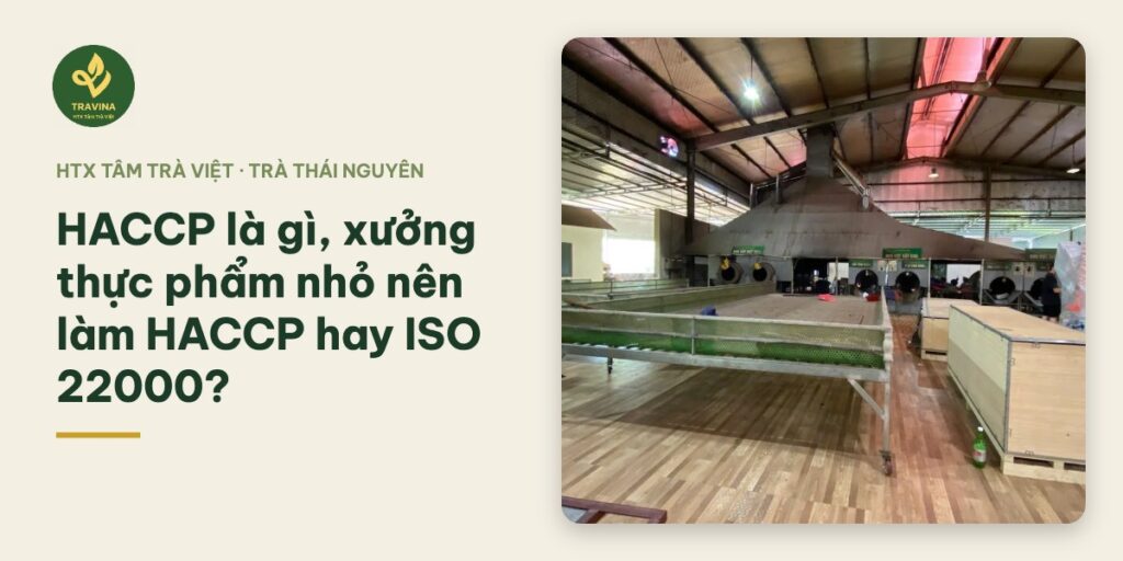 HACCP là gì, xưởng thực phẩm nhỏ nên làm HACCP hay ISO 22000?
