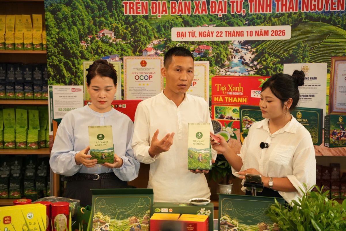 Xã Đại Từ tập huấn bán hàng số, livestream: HTX Tâm Trà Việt lên sóng với Trà Sạch 6 Không Anh Phạm Hoàng Giang và đại diện HTX Tâm Trà Việt giới thiệu hai túi Trà Sạch 6 Không