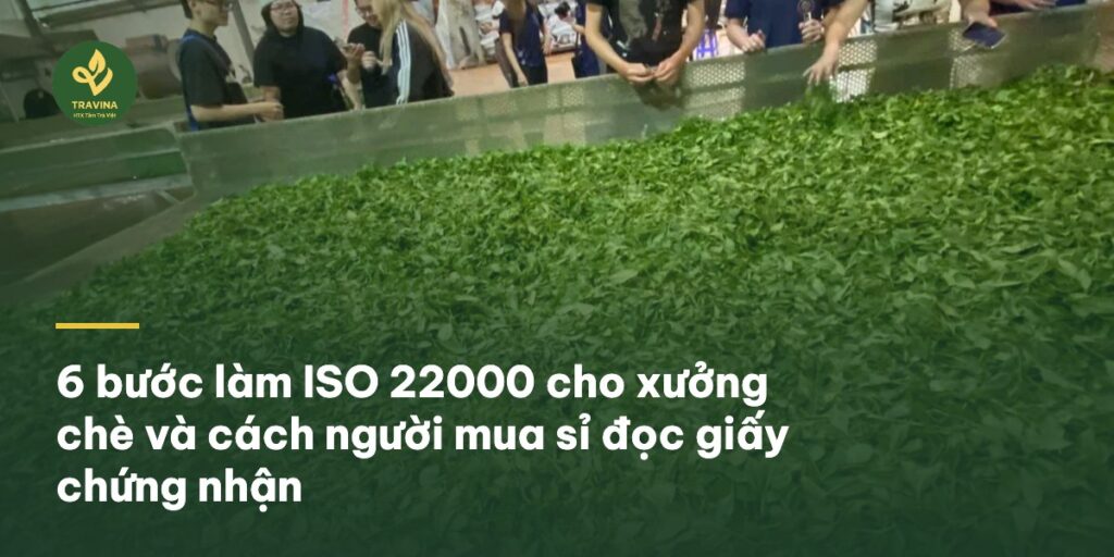 6 bước làm ISO 22000 cho xưởng chè và cách người mua sỉ đọc giấy chứng nhận 6 bước làm ISO 22000 cho xưởng chè và cách người mua sỉ đọc giấy chứng nhận