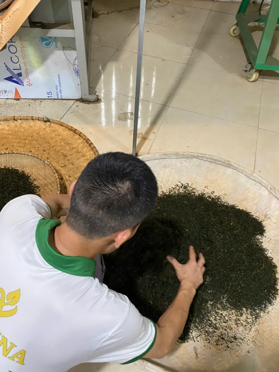 Nhân viên hợp tác xã kiểm trà khô thành phẩm trong nong tre trước khi đóng hộp quà Tết