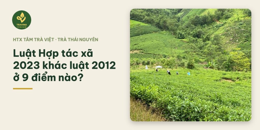 Luật Hợp tác xã 2023 khác luật 2012 ở 9 điểm nào? Luật Hợp tác xã 2023 khác luật 2012 ở 9 điểm nào?