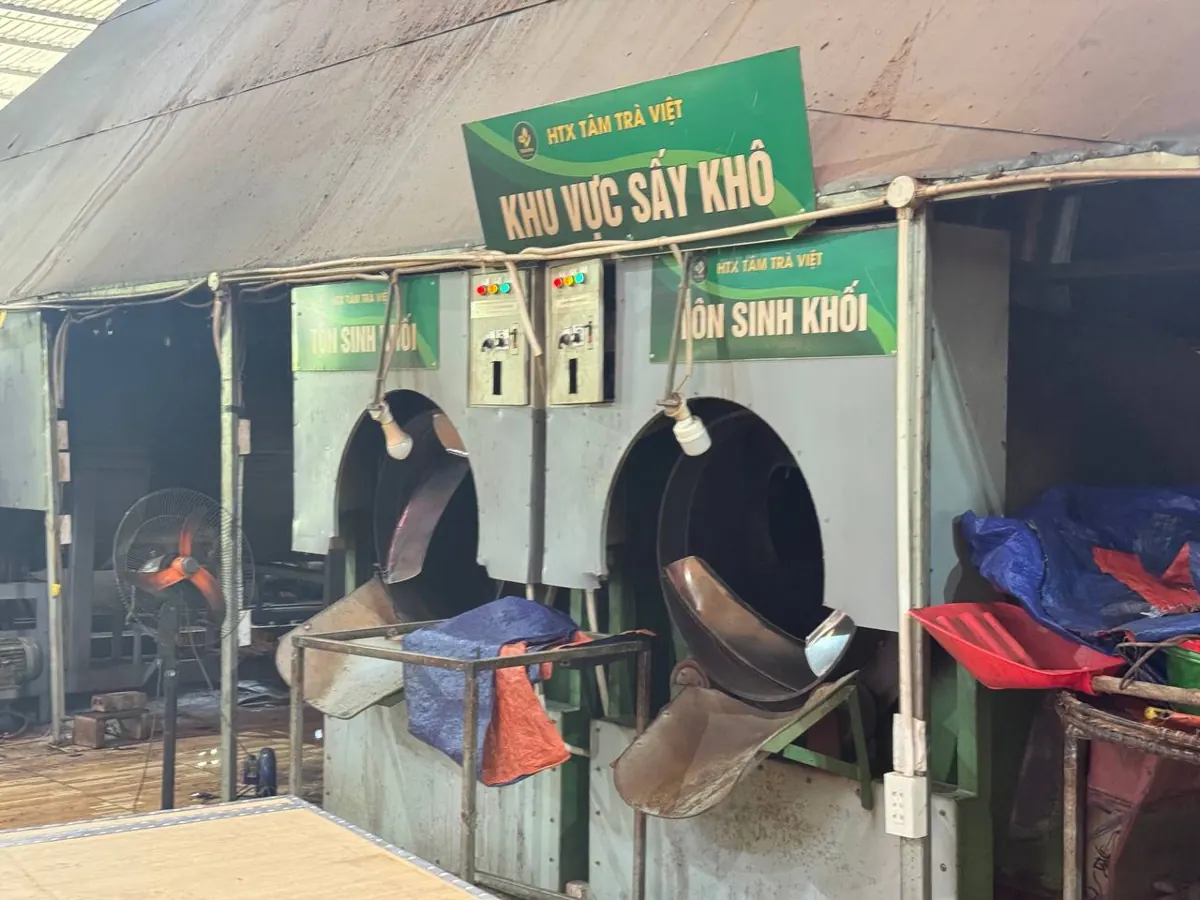 Hai máy sấy chè lồng quay dưới biển Khu vực sấy khô của hợp tác xã – TRAVINA