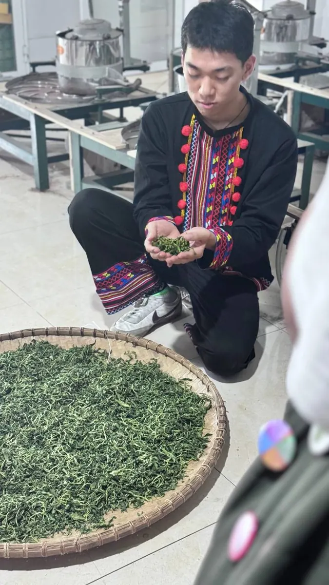 7 bước pha trà Thái Nguyên chuẩn cho quán: định lượng, nhiệt độ, giá vốn mỗi ấm Nhặt và phân loại trà khô Thái Nguyên trên nia trước khi đóng gói theo lô