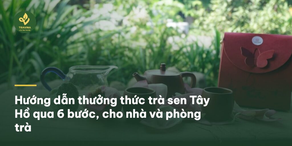 Hướng dẫn thưởng thức trà sen Tây Hồ qua 6 bước, cho nhà và phòng trà