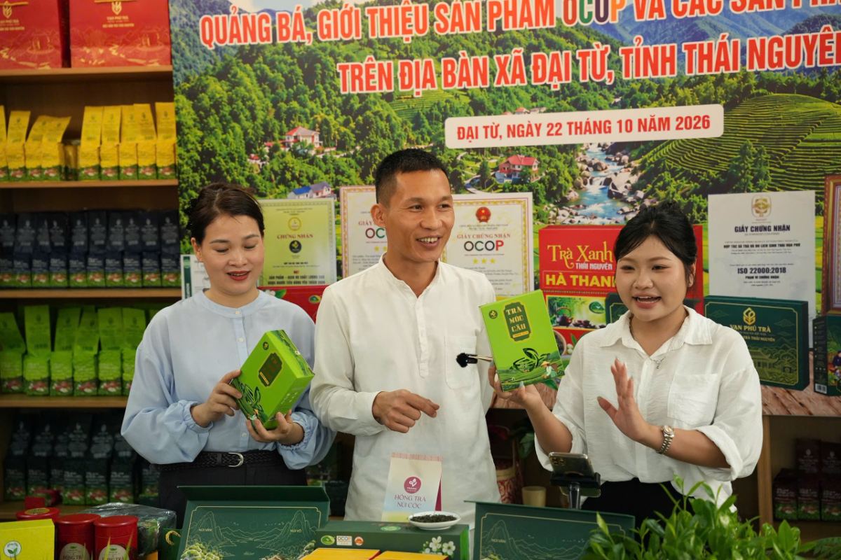 Xã Đại Từ tập huấn bán hàng số, livestream: HTX Tâm Trà Việt lên sóng với Trà Sạch 6 Không Anh Phạm Hoàng Giang giới thiệu trà Móc Câu và Hồng Trà Núi Cốc trong buổi livestream